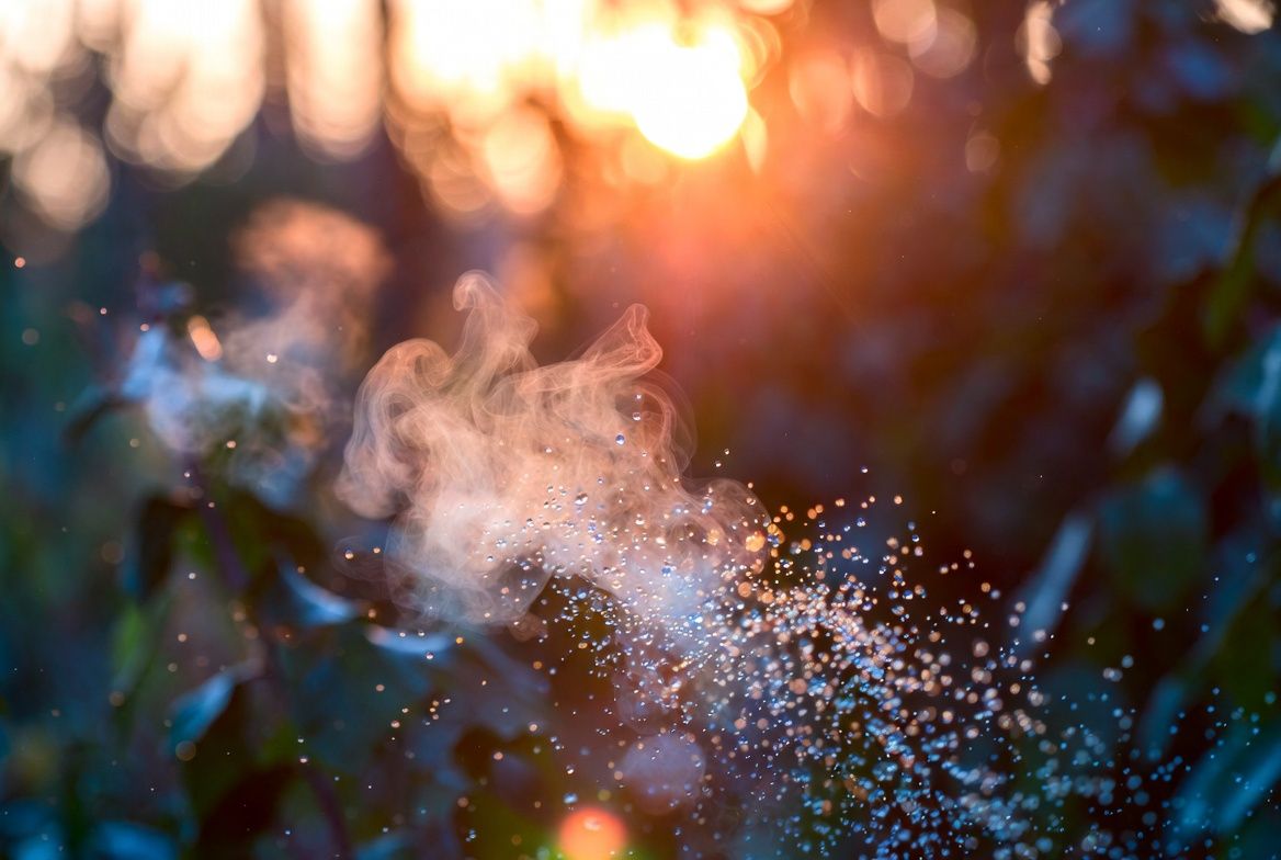 5 Micro-Habits That Actually Make You Happier (Science-Backed)