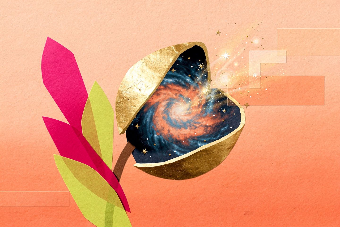 Fixed vs Growth Mindset: Shifting Your Thinking for Lasting Happiness