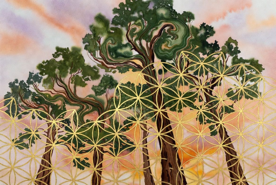 Digital Detox 101: Reclaiming Mental Health in a Hyperconnected World