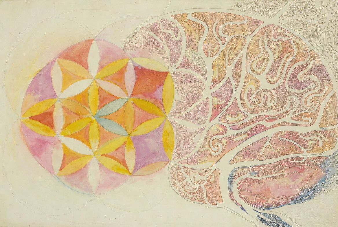 Fixed vs Growth Mindset: Rewiring Your Brain for Resilience and Joy