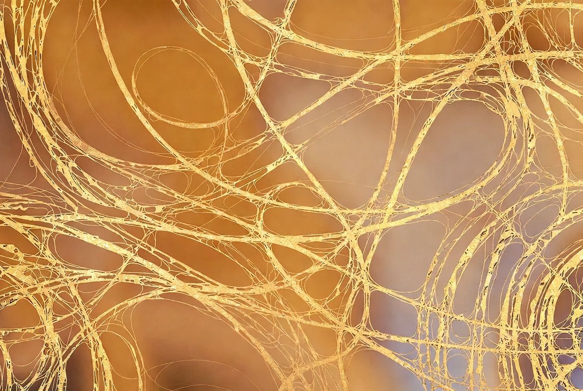 The Loneliness Epidemic: How Social Connection Impacts Physical Health