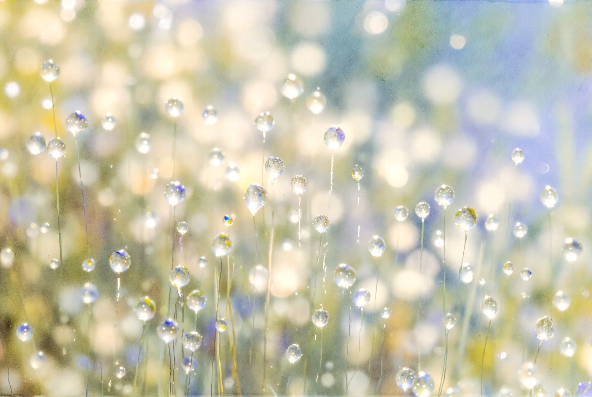 Micro Habits for Macro Happiness: Tiny Changes That Transform Mental Health